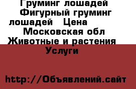 Груминг лошадей. Фигурный груминг лошадей › Цена ­ 1 000 - Московская обл. Животные и растения » Услуги   